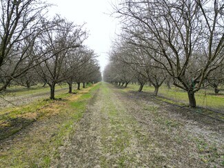 Lemoore, CA Agricultural - 8350 17 1/2 Avenue