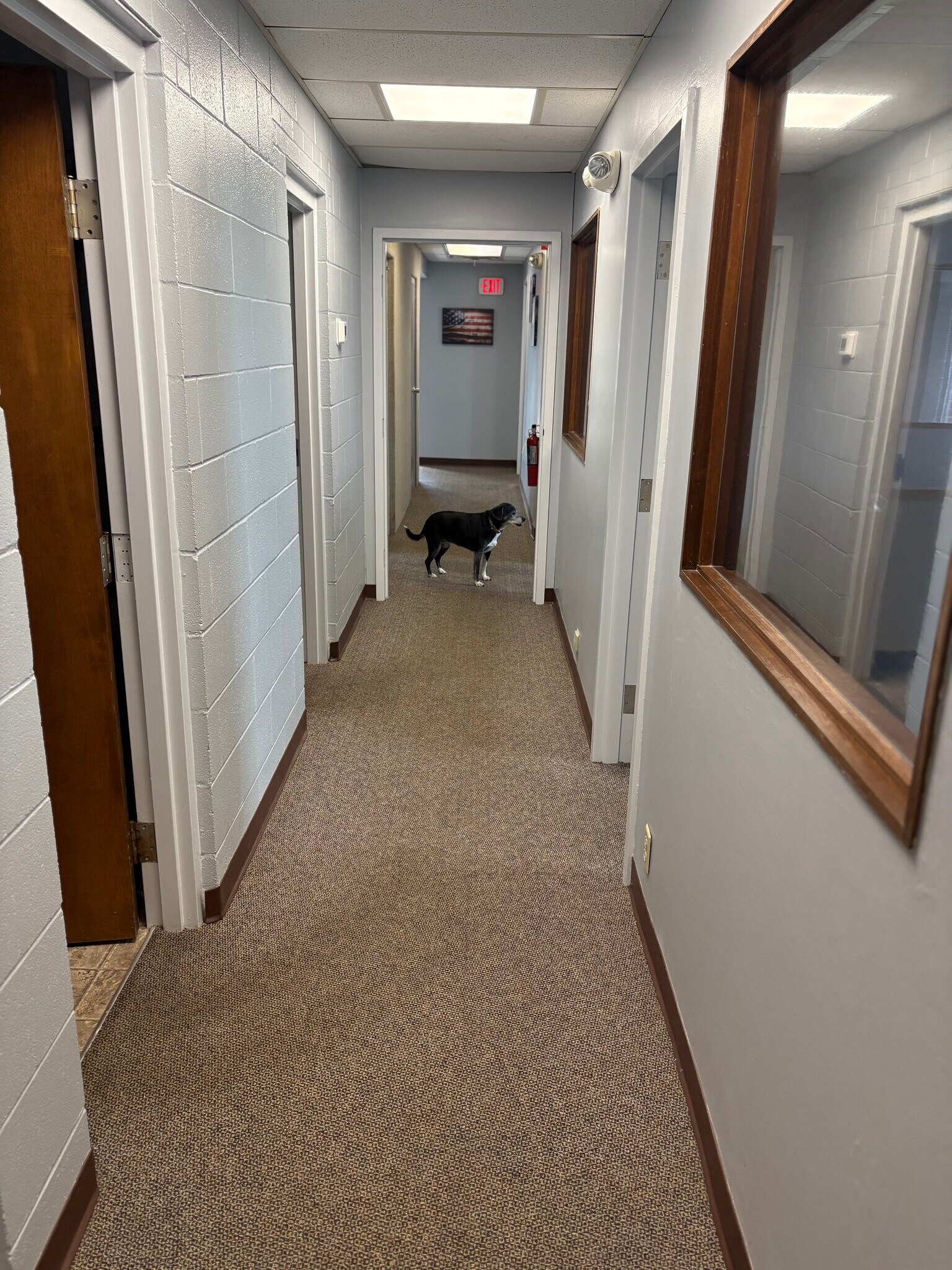 4155 Martindale Rd NE, Canton, OH for Rent