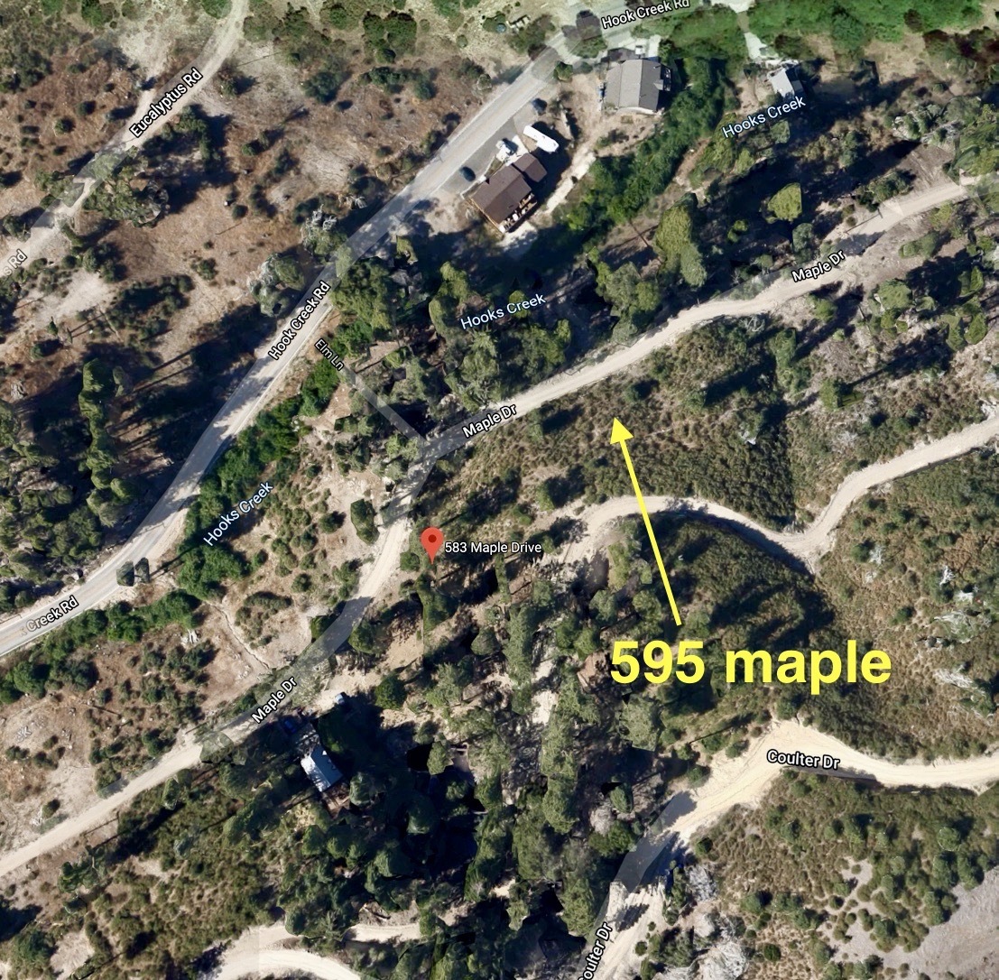 595 Maple Dr, Lake Arrowhead, CA for Sale