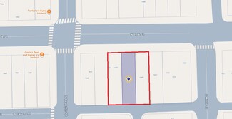 Chicago, IL Residential Land - 1041-1045 W Polk st