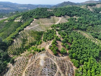 Temecula, CA Agricultural - 45685 Camaron Rd