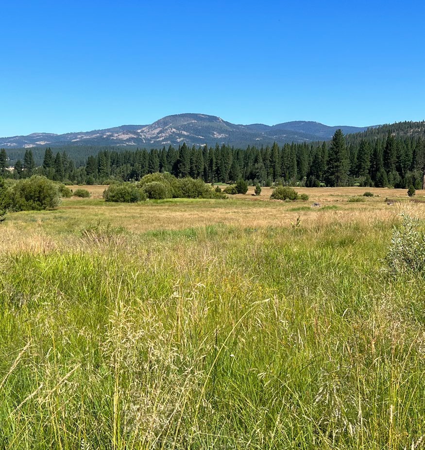 475 Old Hatchery Road, Clio, CA for Sale