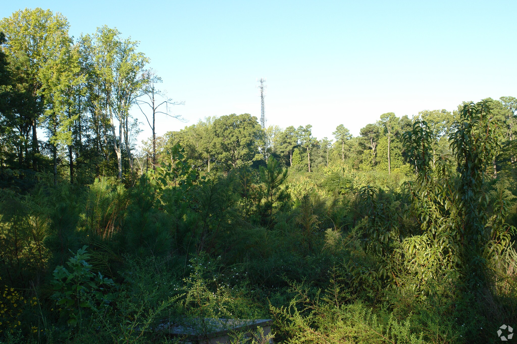 321 Leagan dr Raleigh, NC 27603 Land Property for Lease on