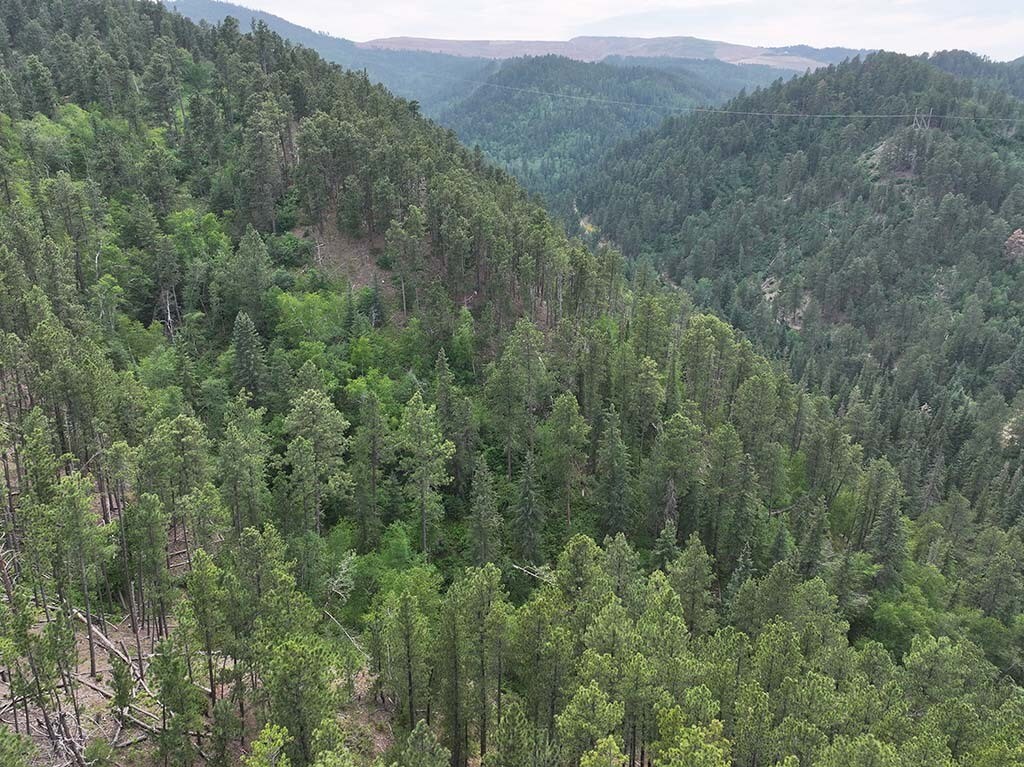 TBD Cutting Mine Road, Lead, SD for Sale