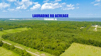 Theodore, AL Commercial - 0 Laurendine Road