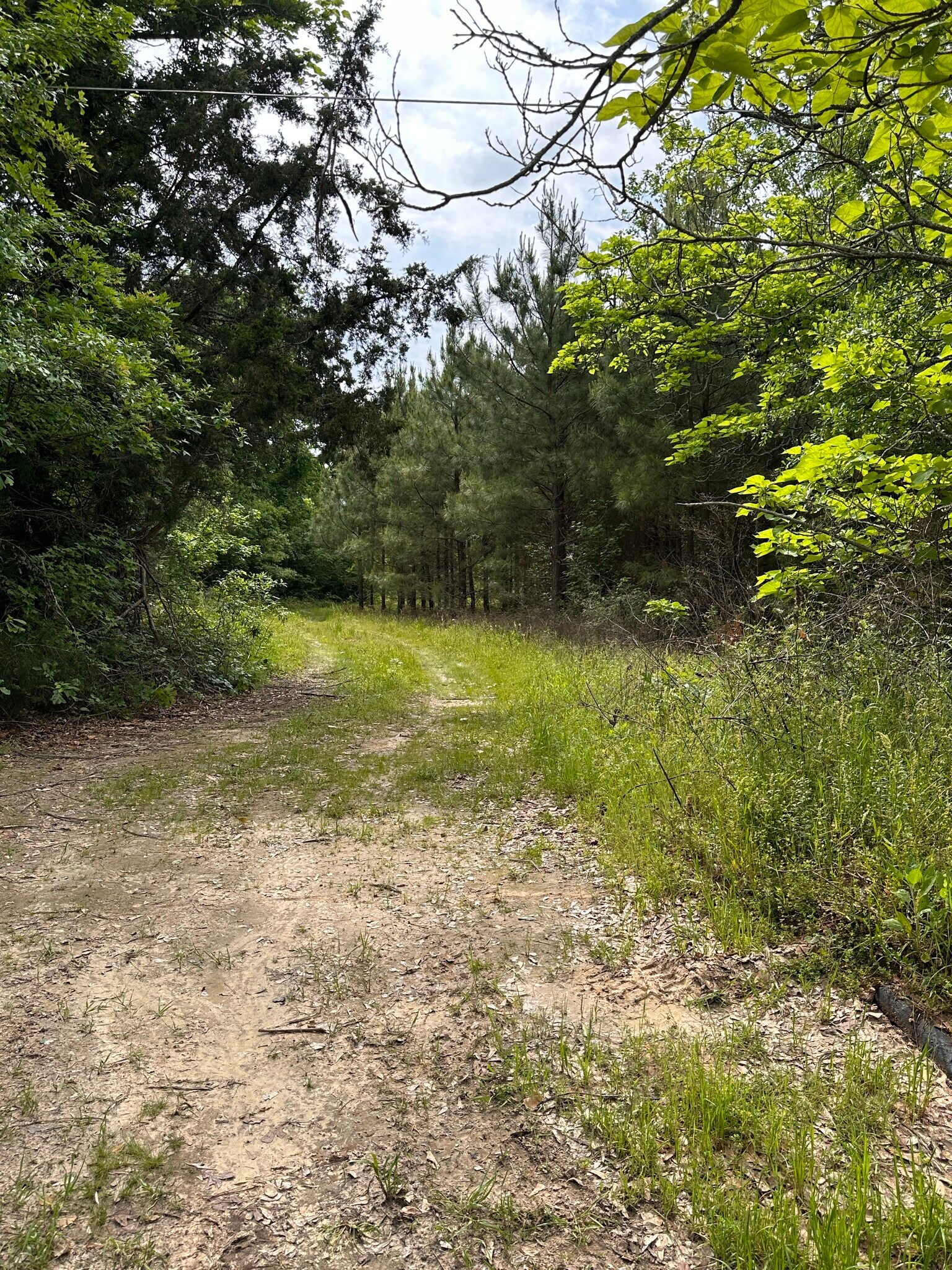 4521 Gregg Tex Rd, Longview, TX for Sale