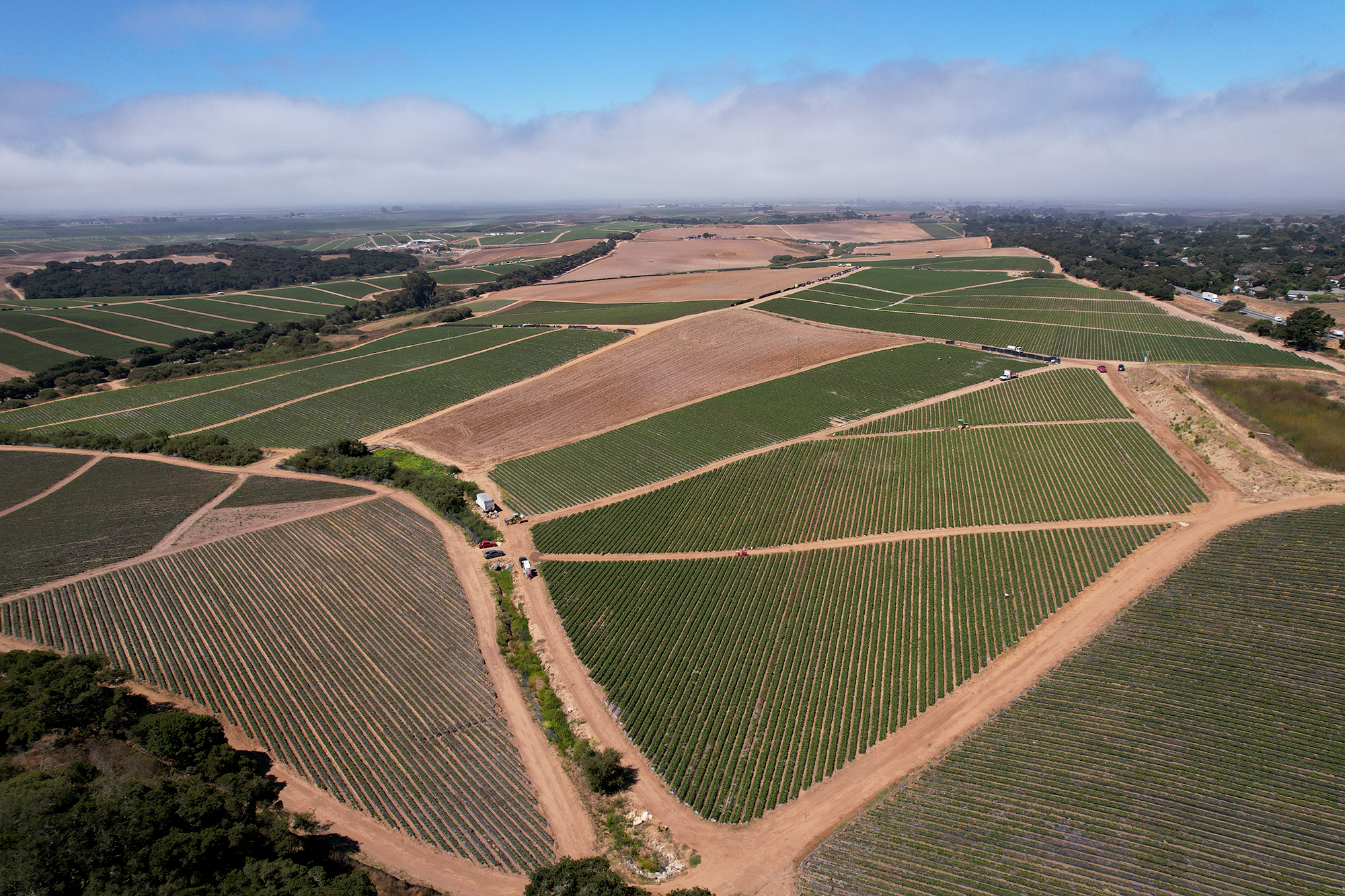 Blackie Rd, Prunedale, CA for Sale