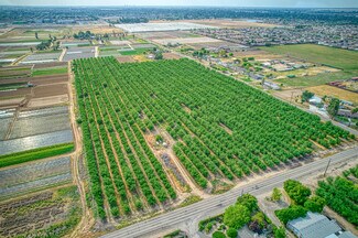 Fresno, CA Agricultural Land - 1581 S Temperance Ave