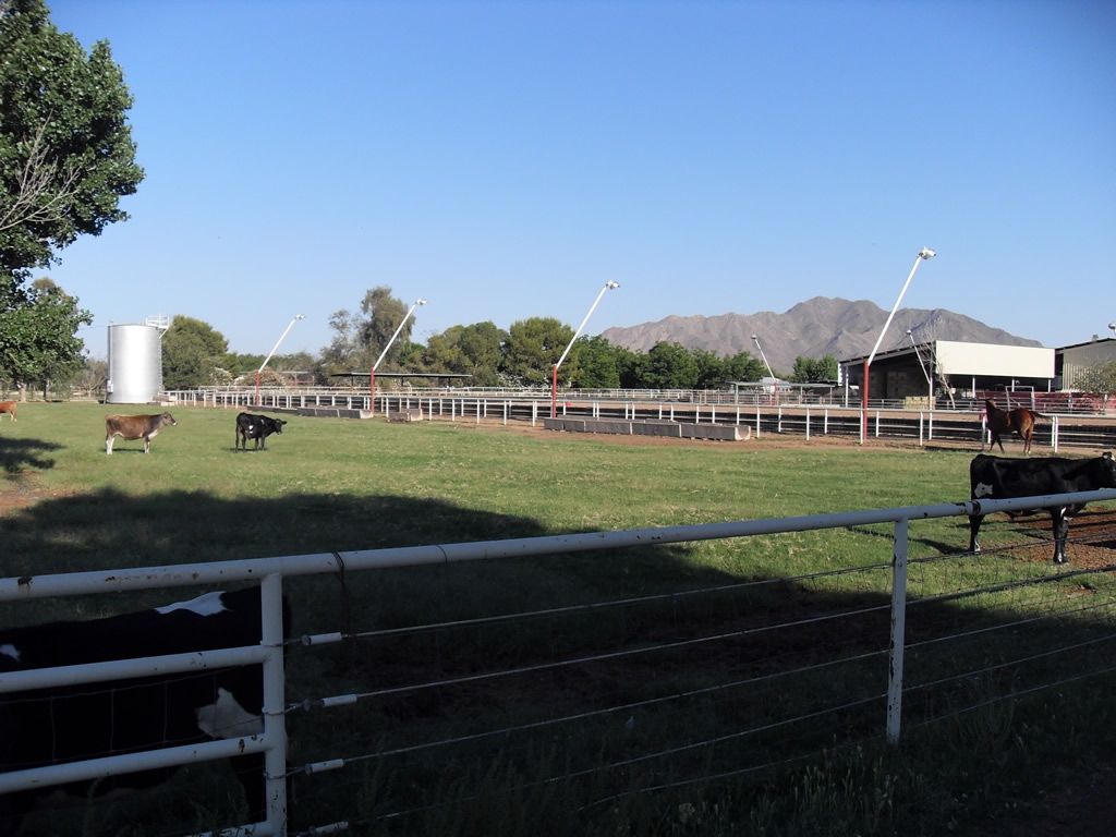 15225 E Riggs Rd, Gilbert, AZ for Sale