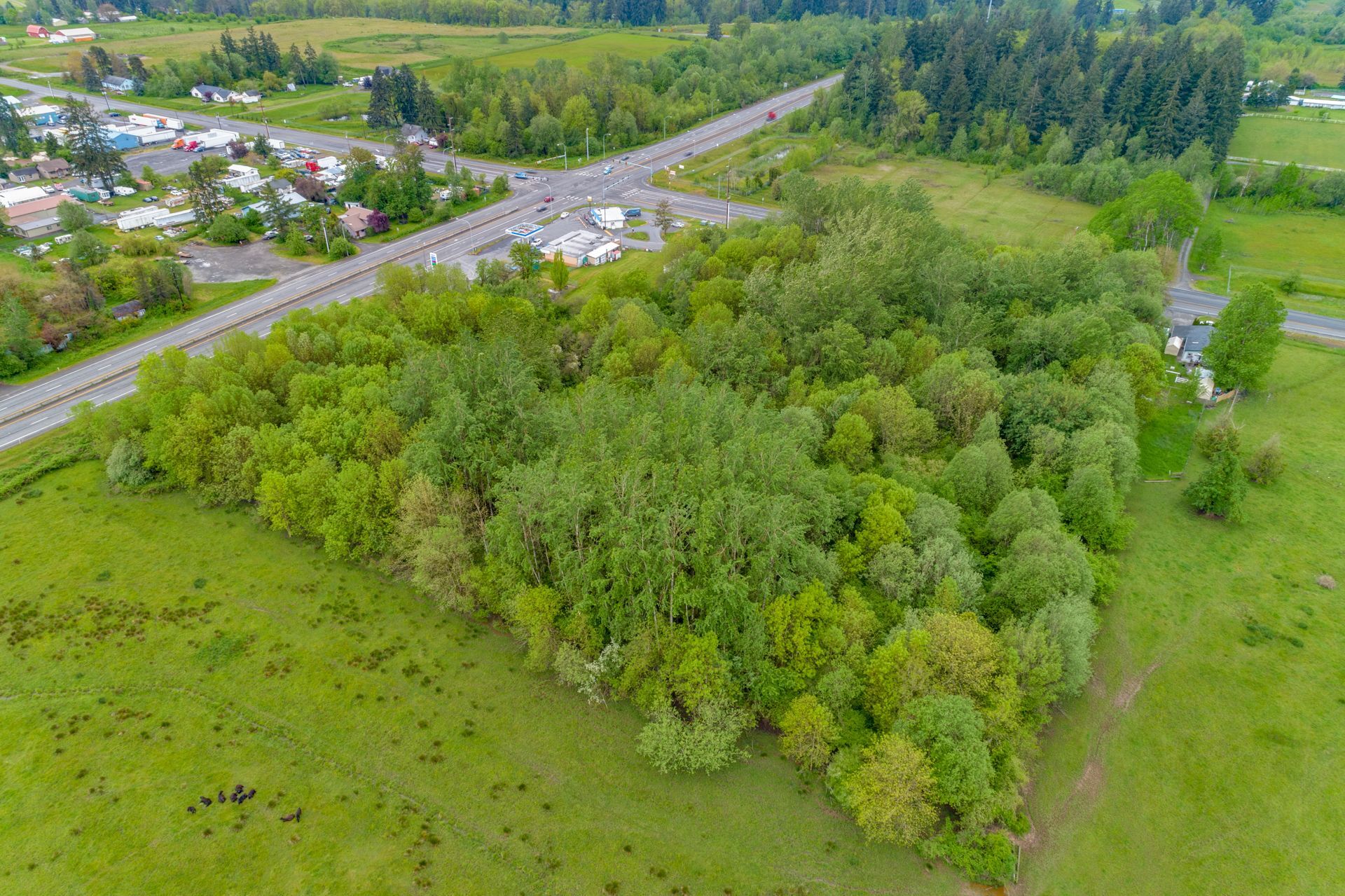 21900 10th, Ridgefield, WA for Sale