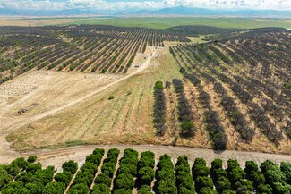 Delano, CA Agricultural Land - 24007 Avenue 2