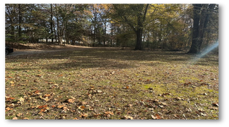 Cordova, TN Commercial Land - 7520 Macon Rd