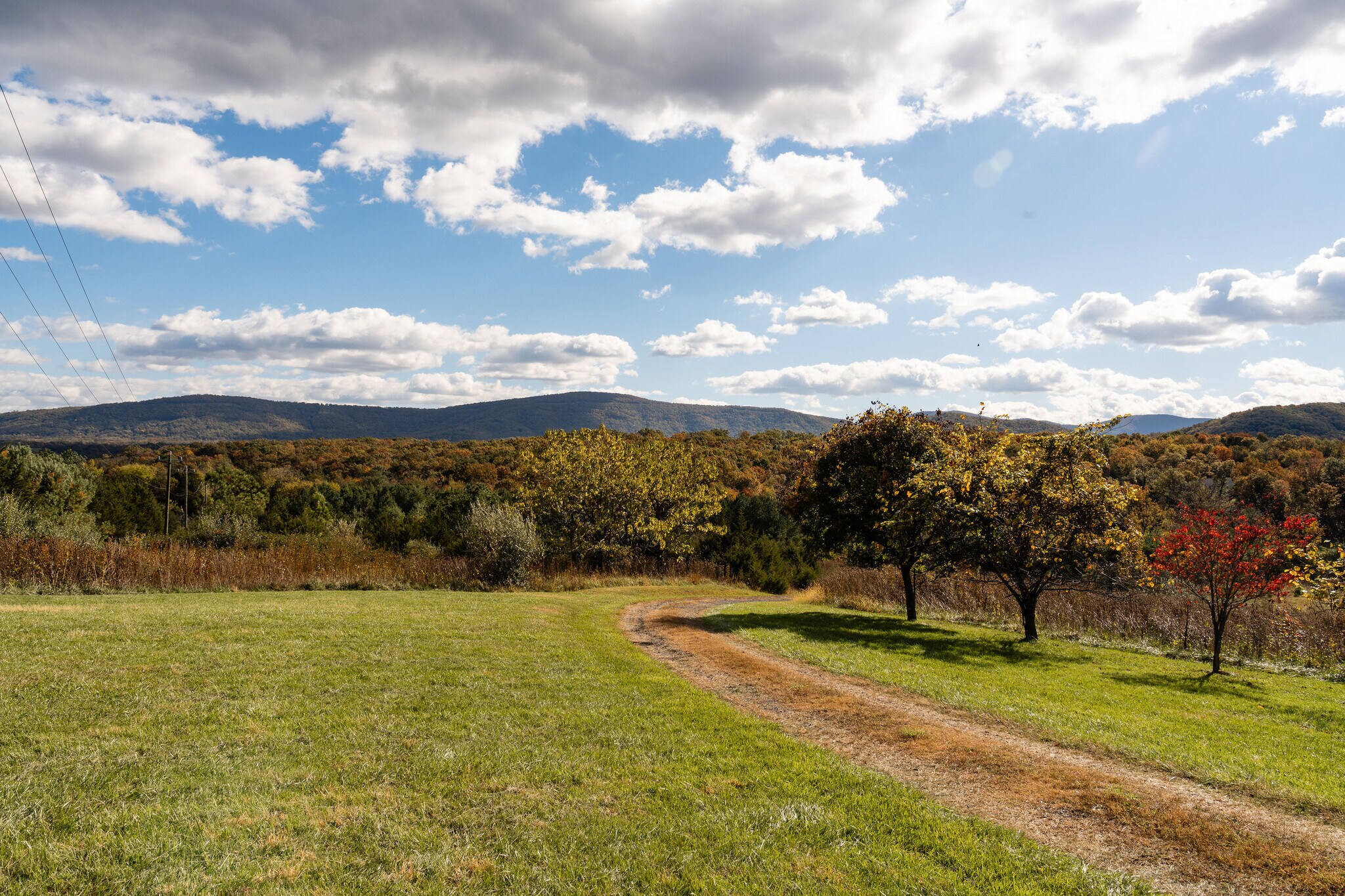 461 Thunderbird Rd, Bentonville, VA for Sale