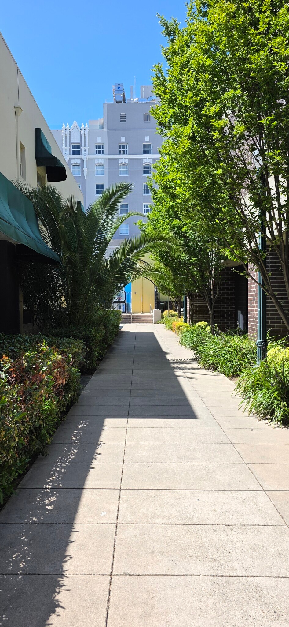 400 Benjamin Franklin Ct., San Mateo, CA for Rent