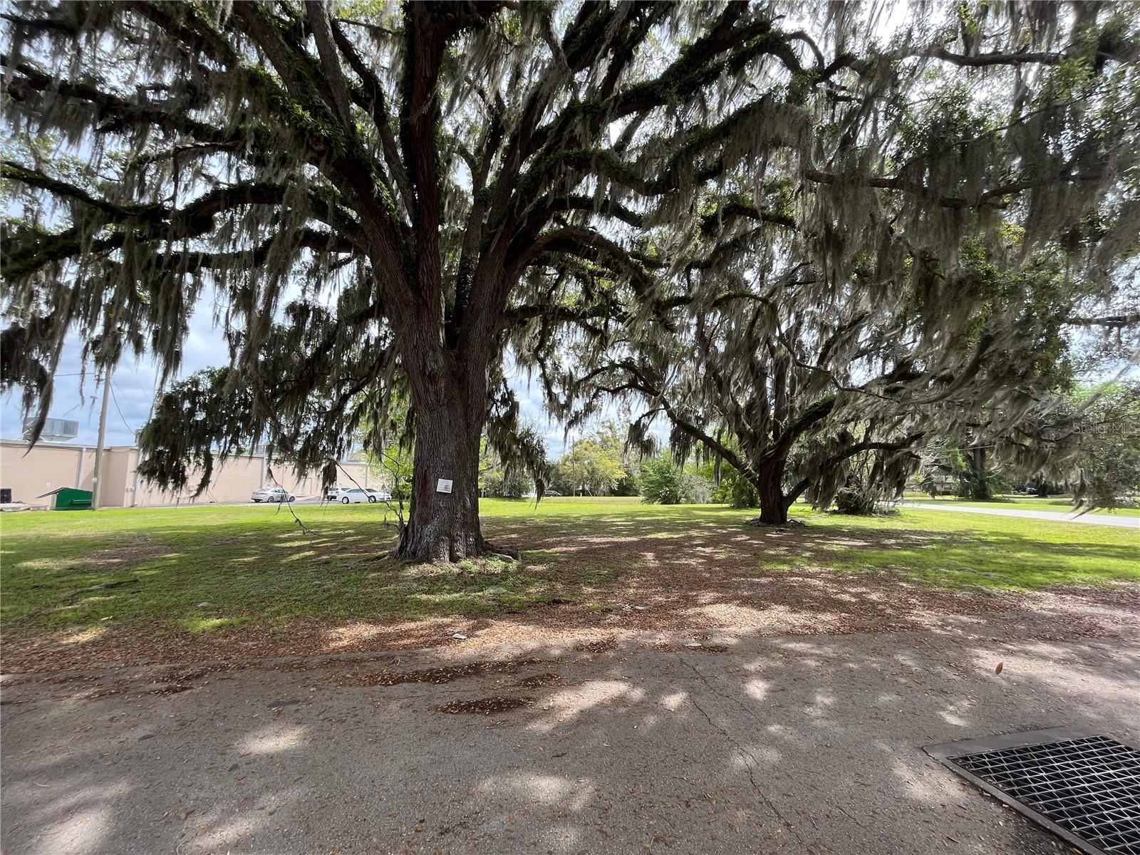 SE Hwy 484, Belleview, FL for Sale