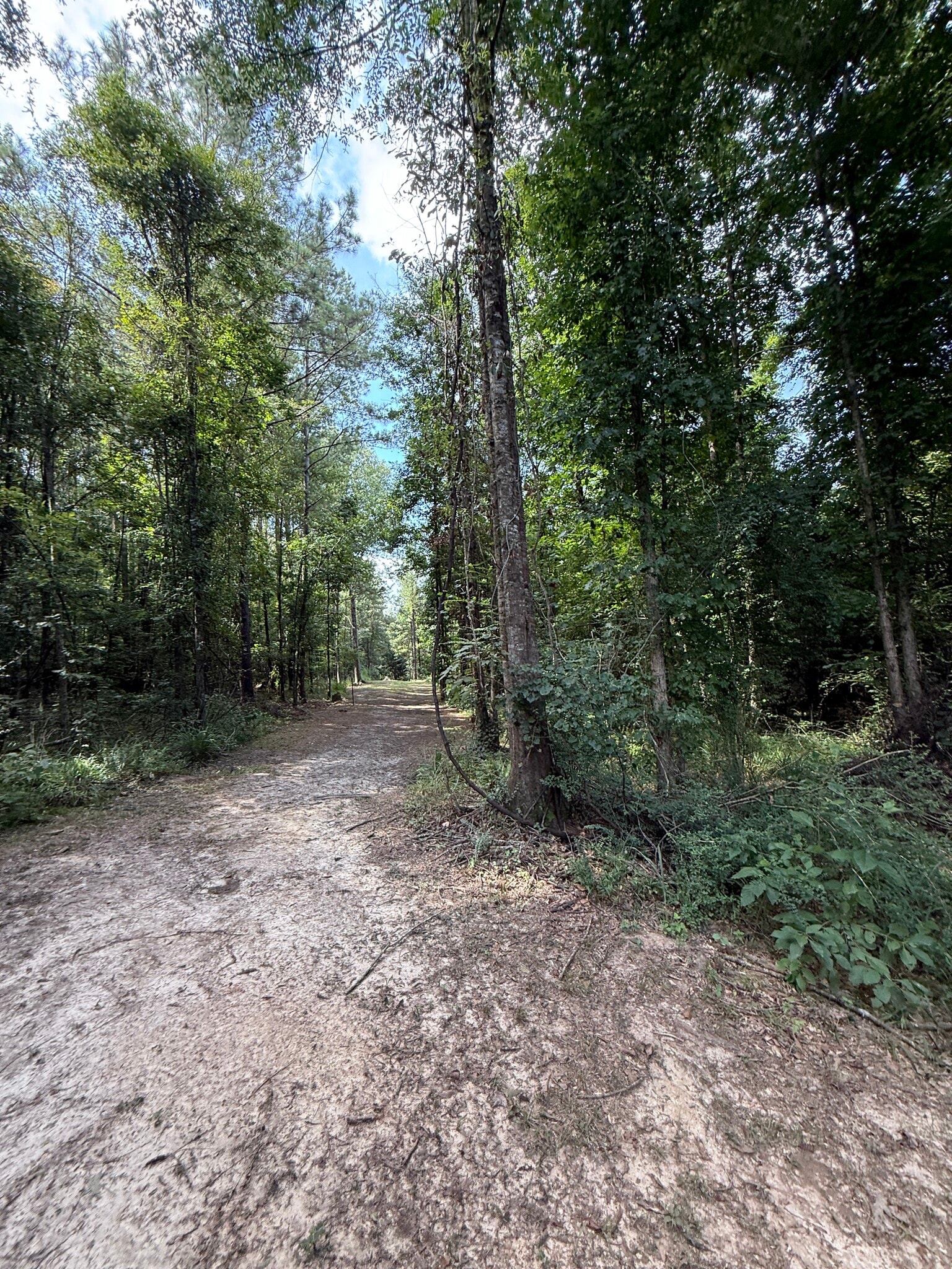 00 MONTGOMERY RD rd, Summit, MS for Sale
