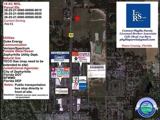 Highway 301 Parcels Zephyrhills FL
