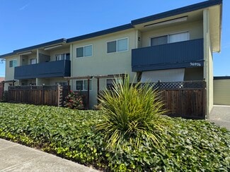 Newark, CA Apartments - 36976 Mulberry St