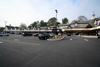 Scarsdale, NY Retail - 1062-1180 Wilmot Rd