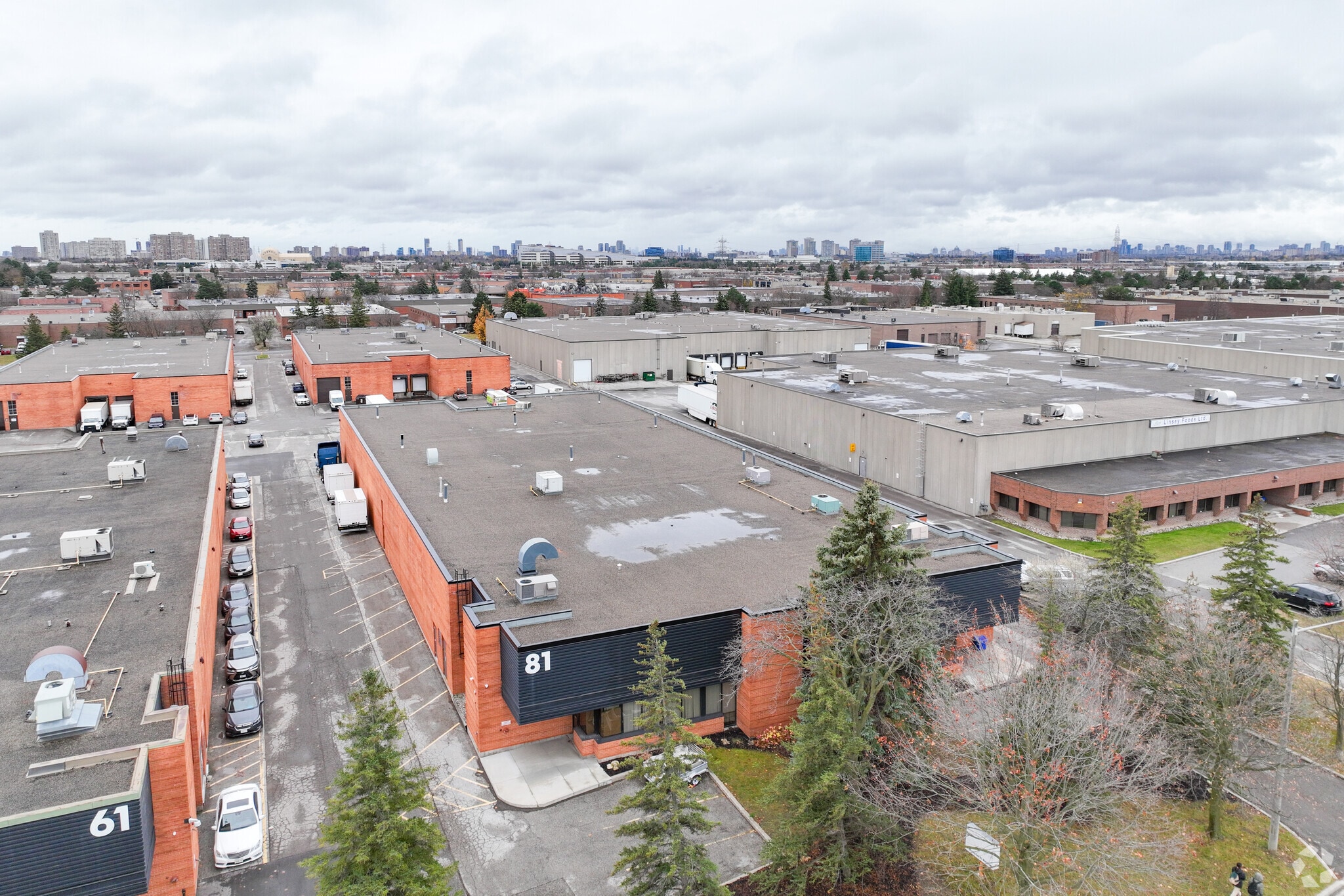 81 Mcpherson St, Markham, ON for Rent