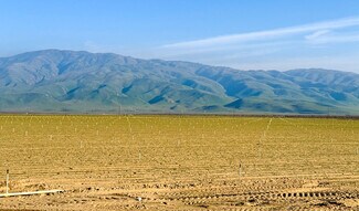 Arvin, CA Agricultural Land - Millux Rd Arvin, CA Agricultural Land - Millux Rd