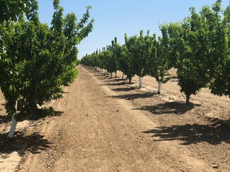 Hanford, CA Agricultural - Hanford Armona Road @ 16th Ave