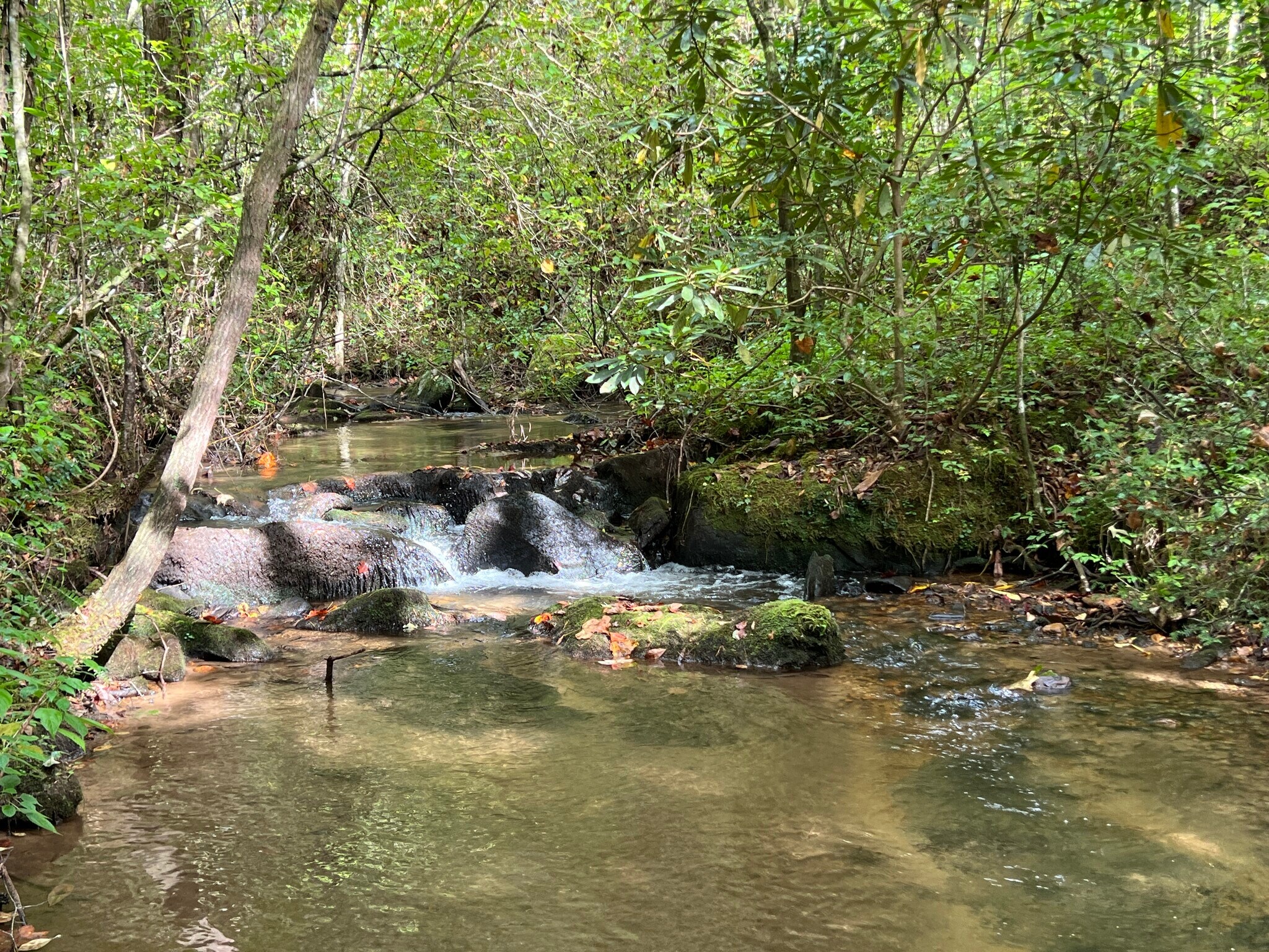 Whitecliff Drive, Ellijay, GA for Sale