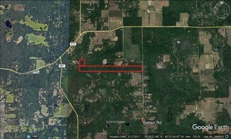 Brooksville, FL Agricultural Land - 00 Batten Rd Brooksville, FL Agricultural Land - 00 Batten Rd