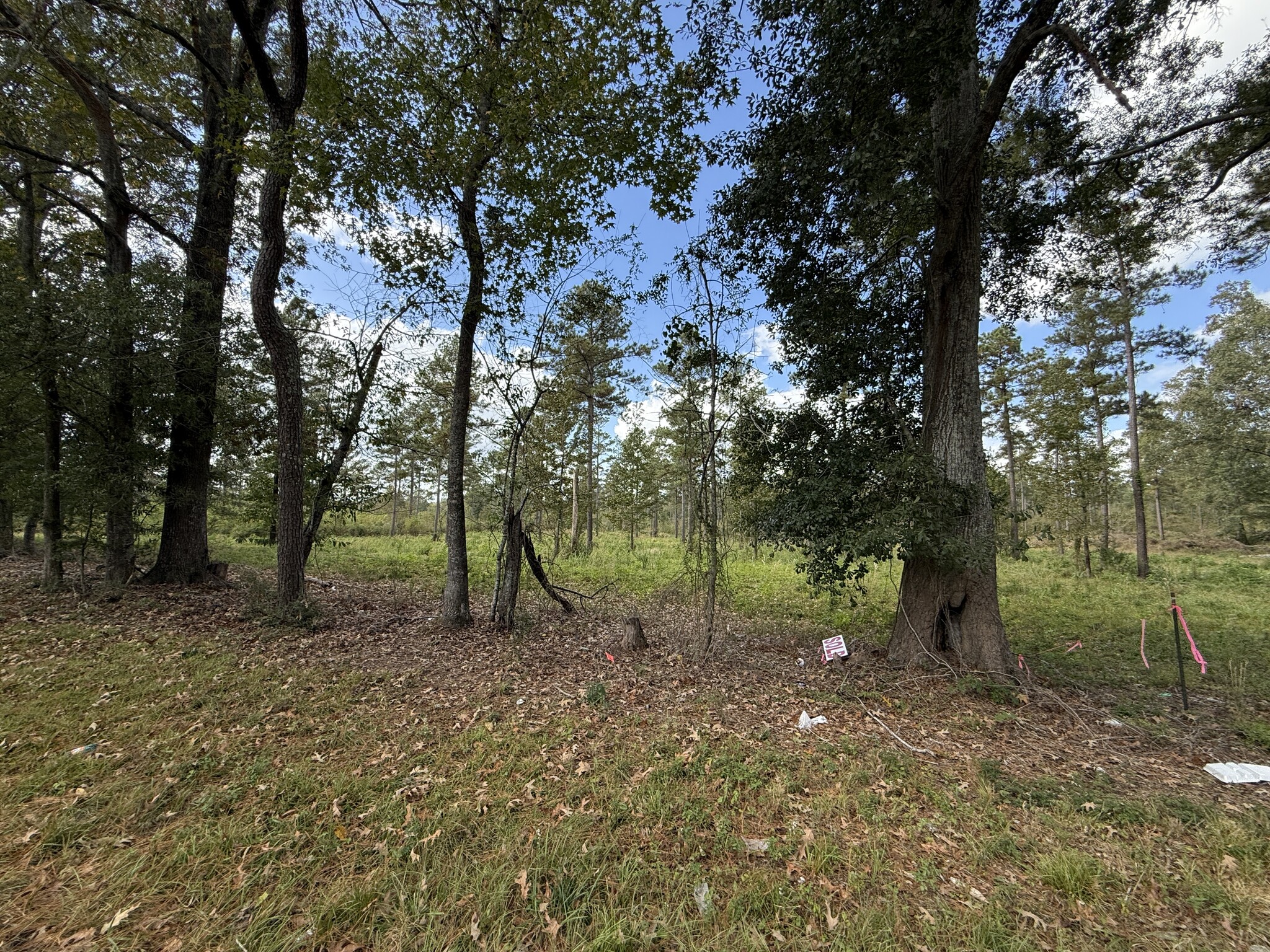 LOT 5 HWY 33 hwy, Centreville, MS for Sale