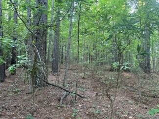 Natchez, MS Residential Land - extension Fairway Drive Rd