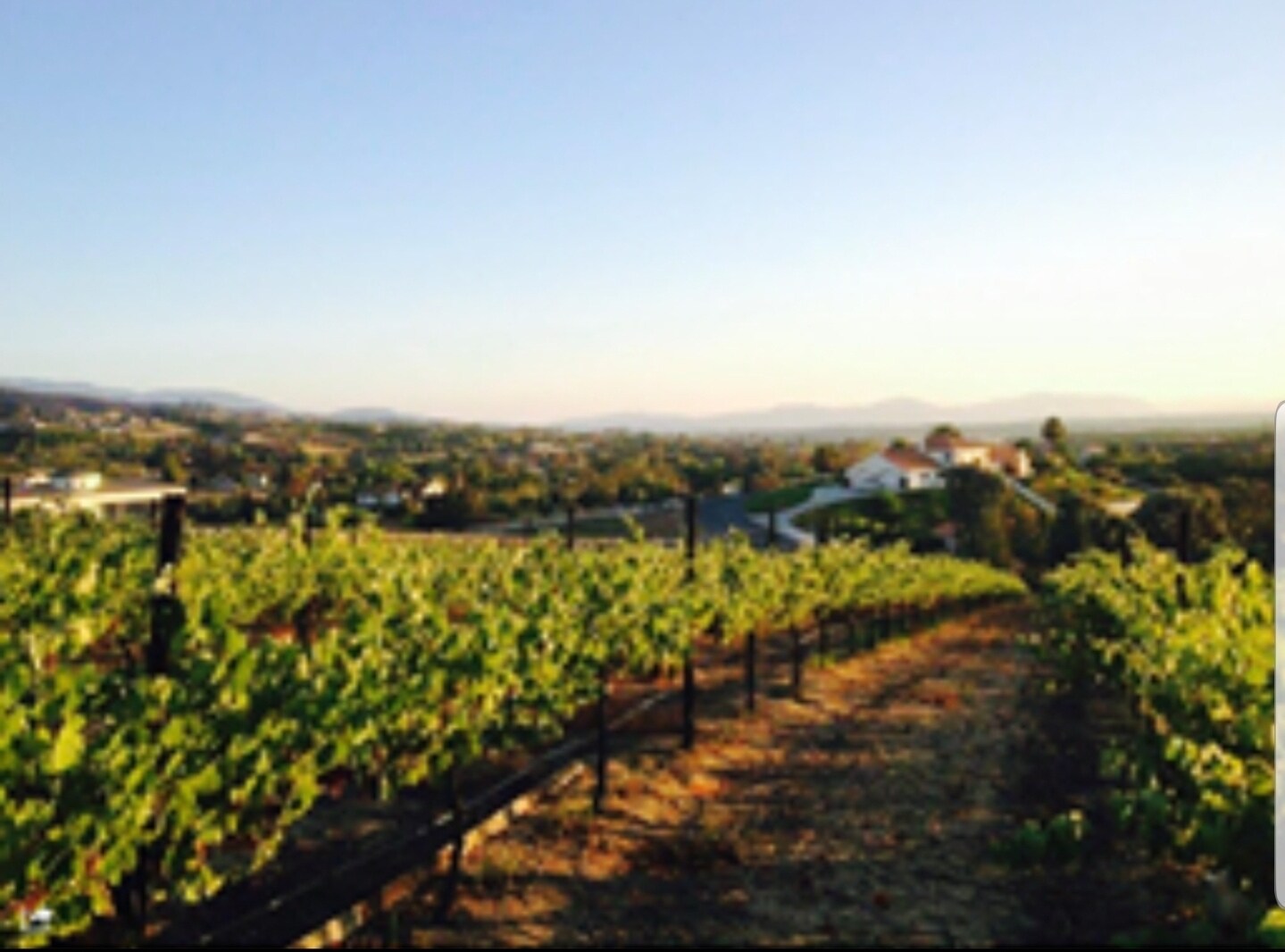 41311 De Portola Rd. Temecula, CA 92592 Land Property for Lease on