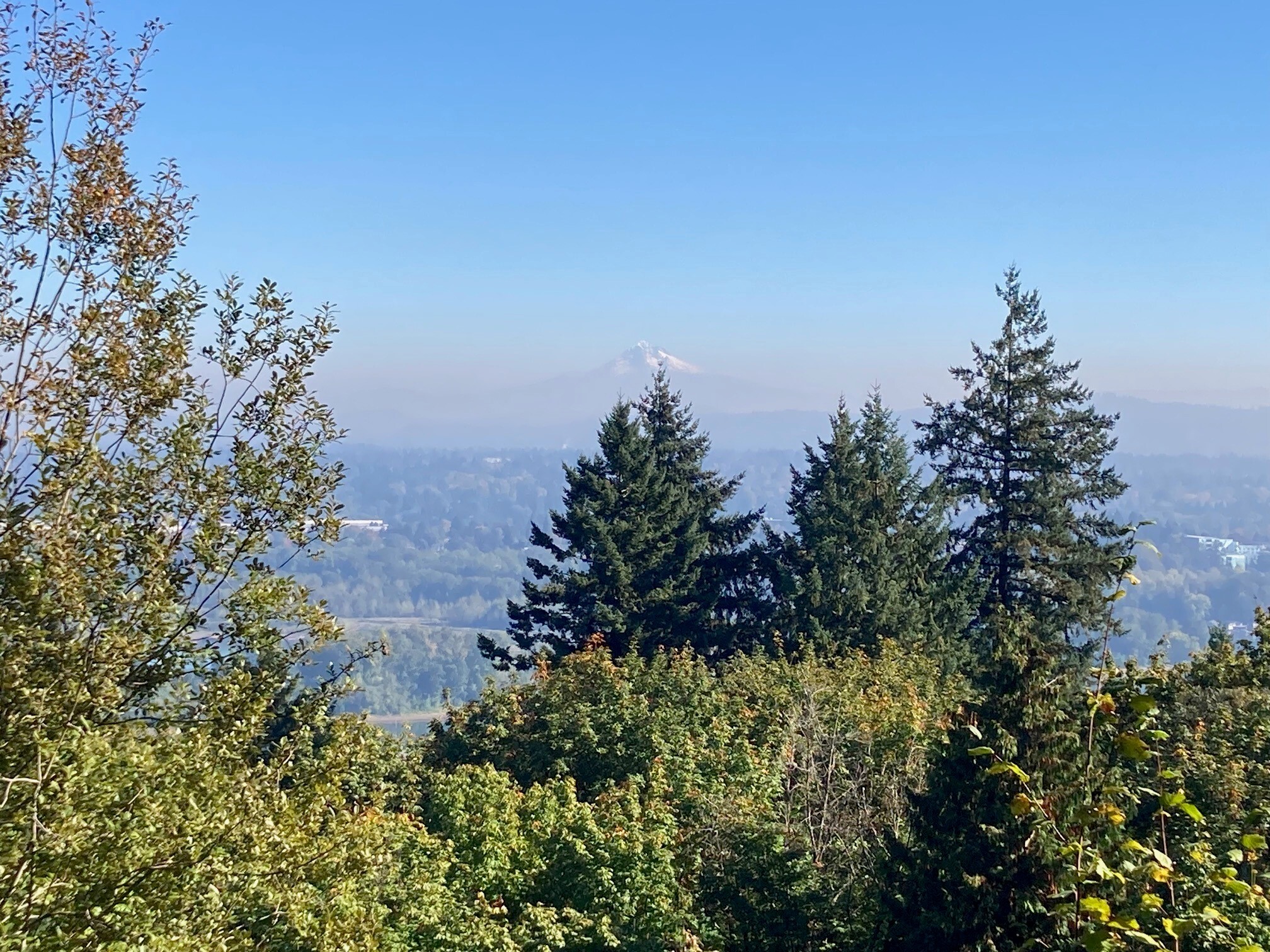 SW Ralston Drive, Portland, OR for Sale
