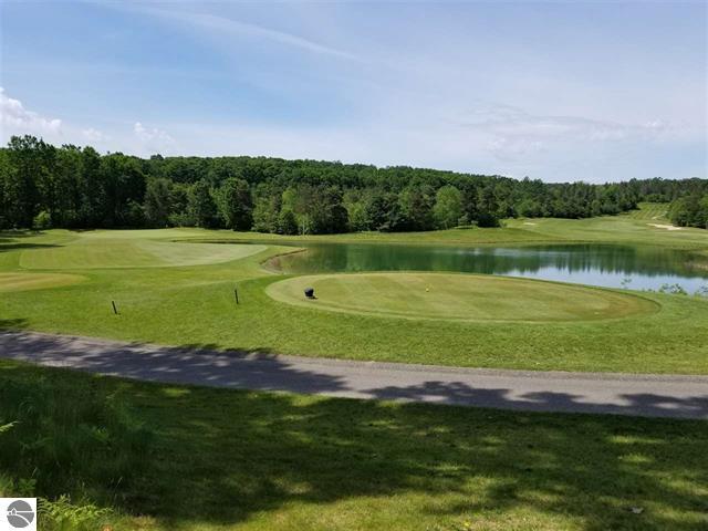 000 Hawk's Eye Dr. -1, Bellaire, MI for Sale