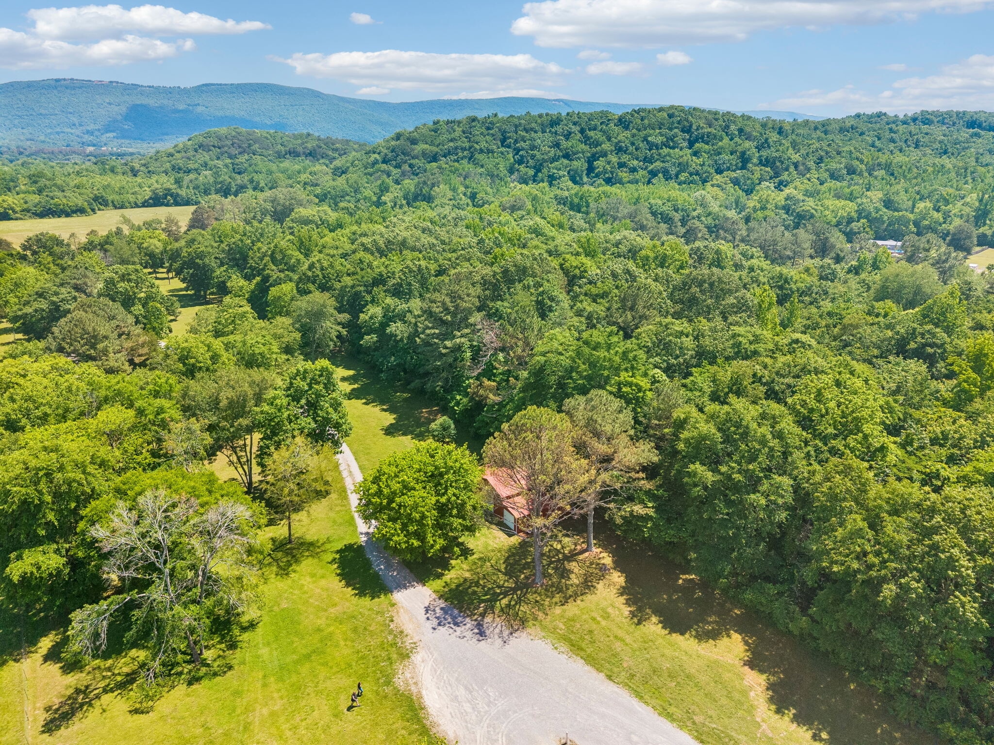 49 Cutting Edge Ln, Dunlap, TN for Sale