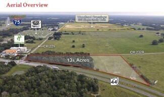 Wildwood, FL Commercial Land - SR 44 & CR 229