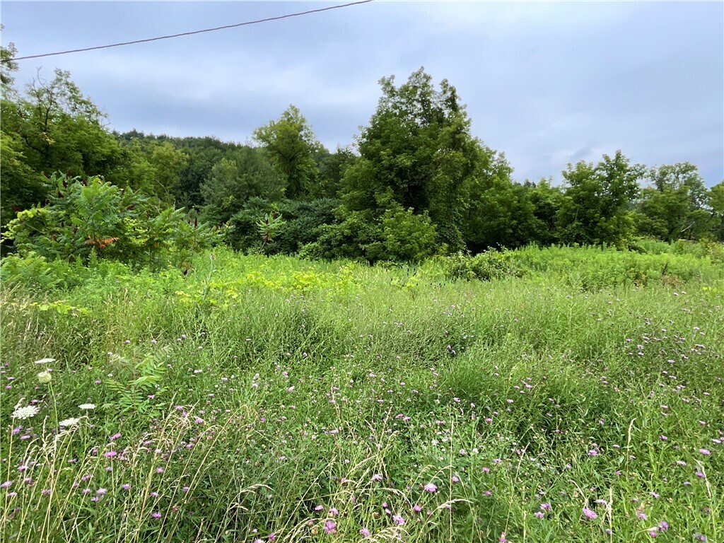 5277 NY-12, Norwich, NY for Sale