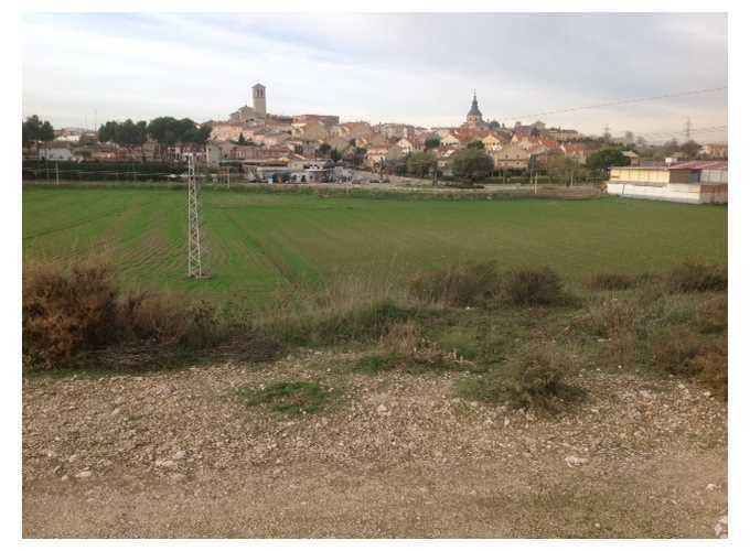 Carretera M-206, Loeches, MAD for Rent