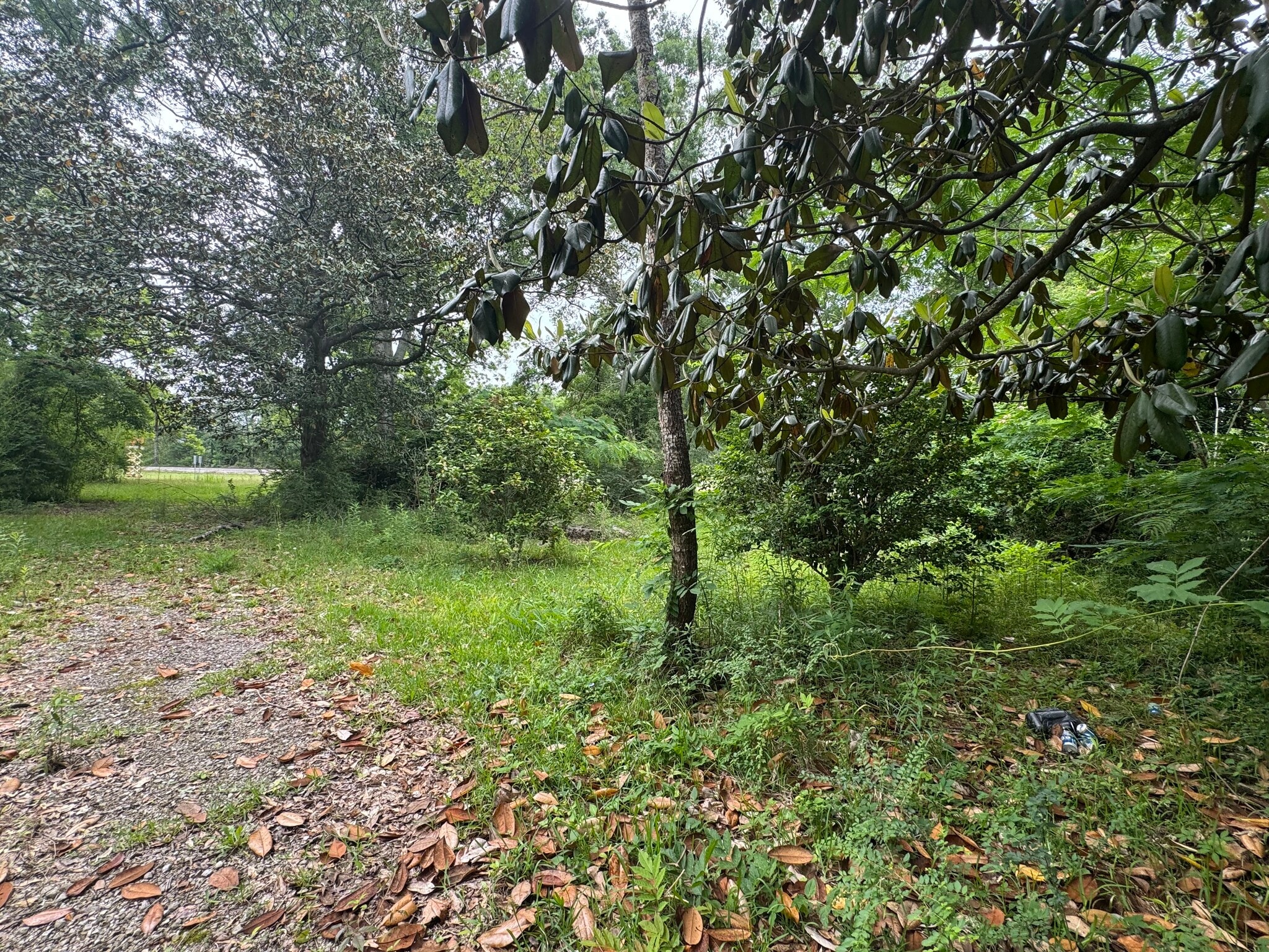 12410 US-165 Hwy, Glenmora, LA for Sale