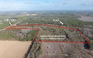 Wellborn, FL Commercial Land - TBD CR 137 & I-10 Wellborn, FL Commercial Land - TBD CR 137 & I-10