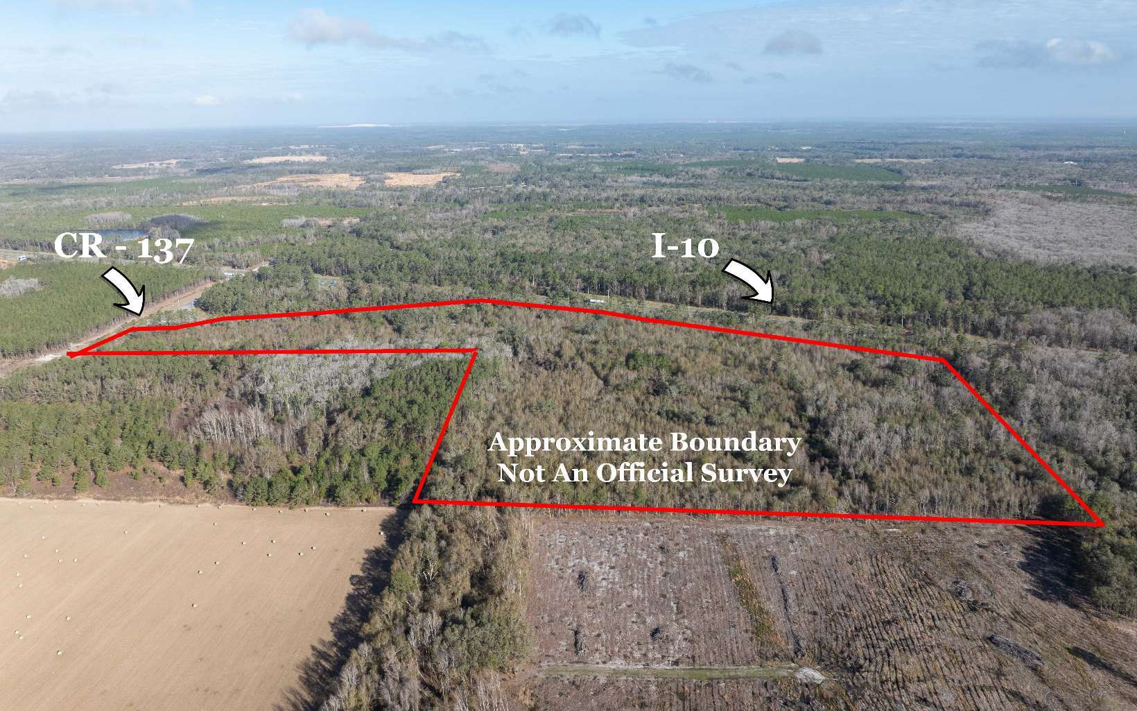 TBD CR 137 & I-10, Wellborn, FL for Sale