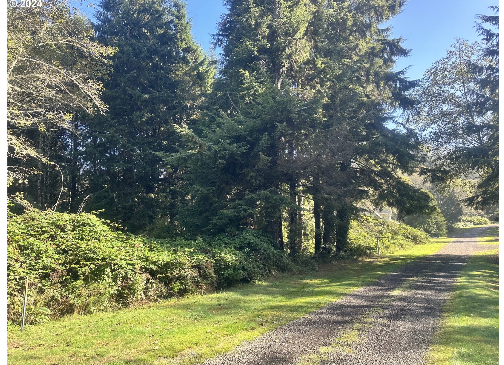 490 Lagoon Street, Rockaway Beach, OR for Sale
