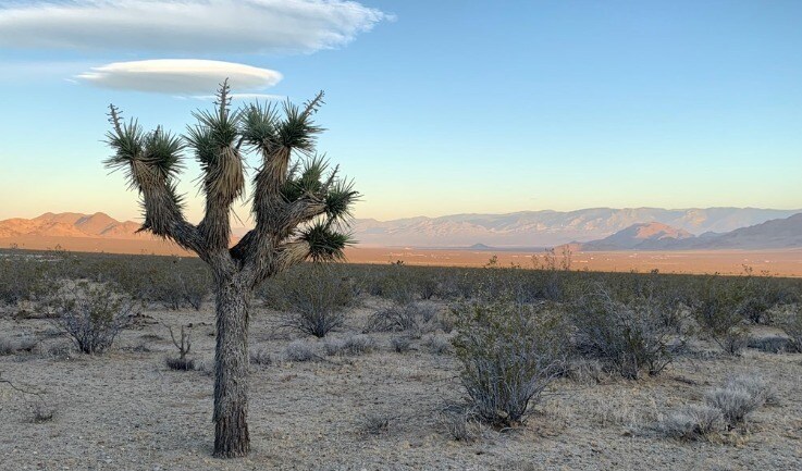 0 Meander Rd, Lucerne Valley, CA for Sale