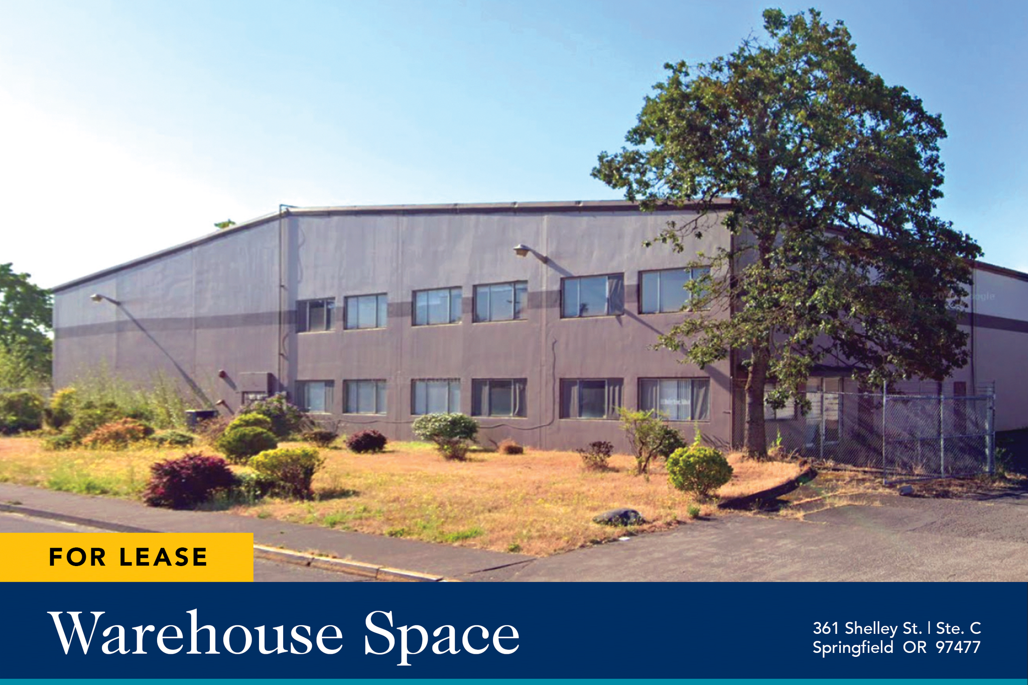 361 Shelley St, Springfield, OR for Rent