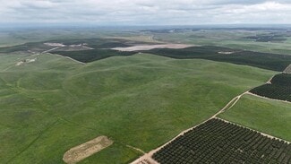 McFarland, CA Agricultural - Highway 65 @ Sherwood Ave.