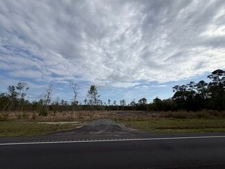 Fleming, GA Commercial Land - 7393 Leroy Coffer Hwy