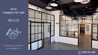 Los Angeles, CA Retail - 217 E 8th St