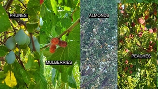 Fort Thomas, AZ Commercial - 13915 US 70