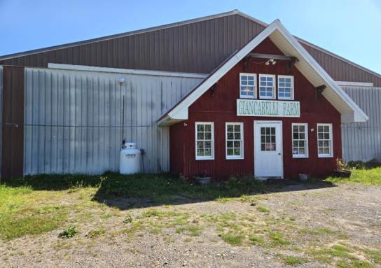 10252 Short Cut Rd, Weedsport, NY for Sale
