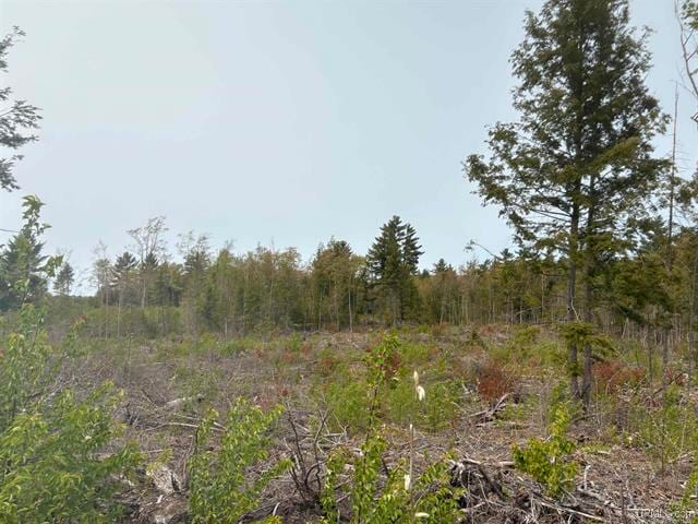 Parcel A Kunde Road, Skandia, MI for Sale