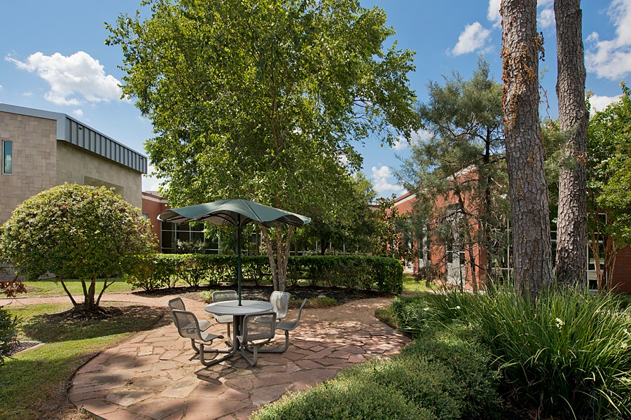 411 Lantern Bend Dr, Houston, TX for Rent